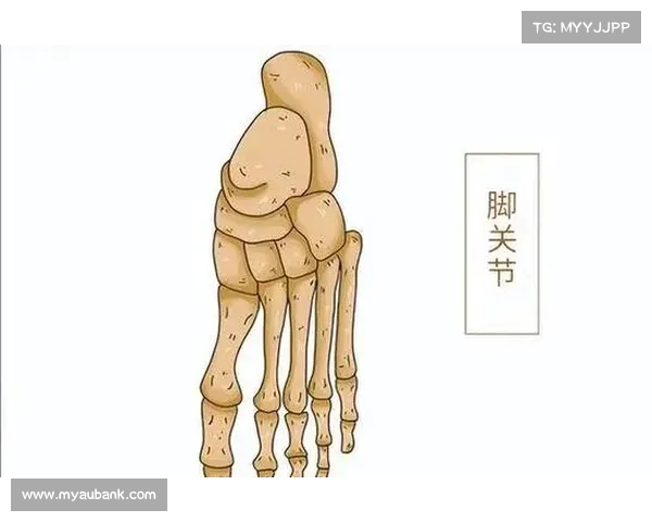 为何中国人只有骨头？探秘人体的神秘差异